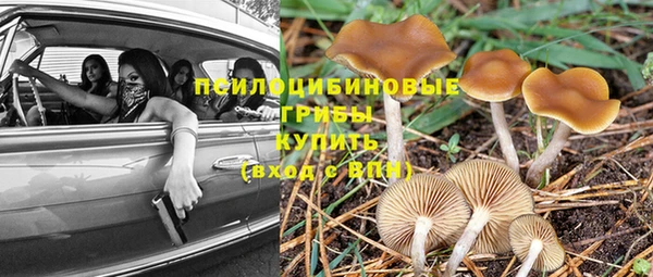 твердый Михайлов