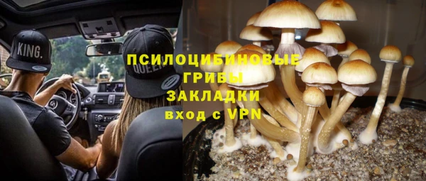 винт Михайловка
