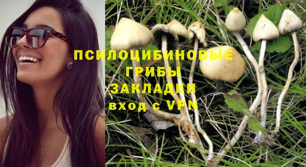 мяу мяу мука Михайловск