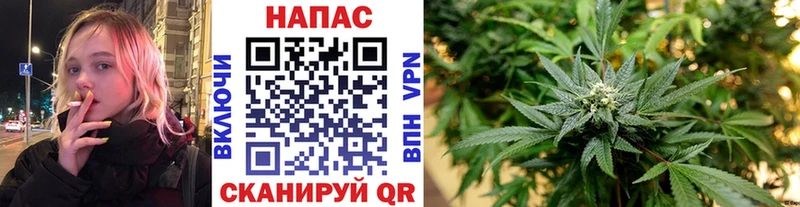 KRAKEN ССЫЛКА  Серафимович  Шишки марихуана VHQ 
